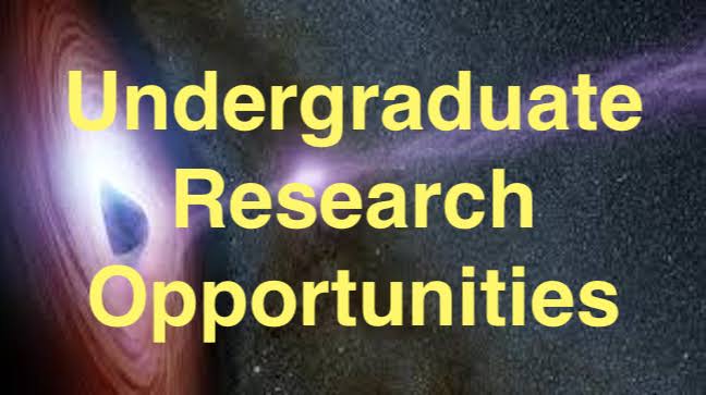 Undergraduate Research