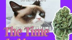 Cats.com Is Back On The Market After Brief Cannabis-Selling