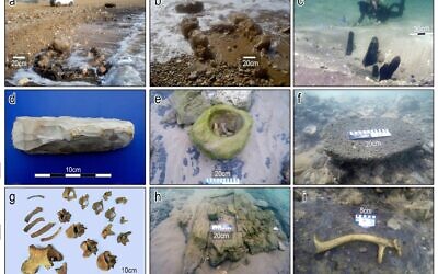 Photographs of finds from the Tel Hreiz settlement. (a-b) exposure of stone-built features in shallow water. (c) wooden posts dug into the seabed. (d) bifacial flint adze. (e) in situ stone bowl made of sandstone. (f) in situ basalt grounding stone (scale = 20cm); (g) burial 1. (h) suspected stone built cist grave - view from the east (scale = 20cm). (i) in situ antler of Mesopotamian fallow deer, Dama dama mesopotamica. (All photographs by E. Galili with the exception of Fig 3G by V. Eshed)