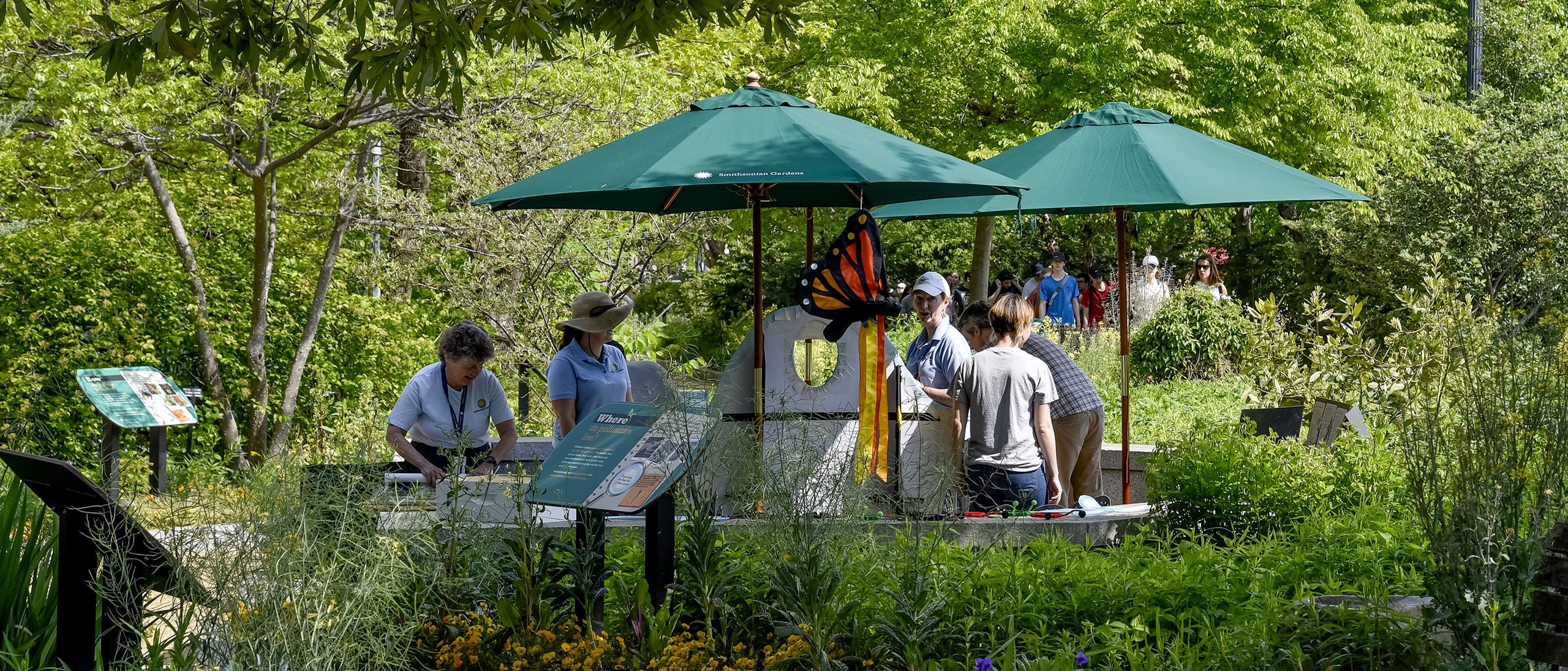 Staff setting up green shade umbrellas, large windsock bugs and other supplies in Pollinator Garden