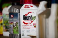 No Bayer Roundup Settlement Anytime Soon, Says Lawyer Who Won in Court