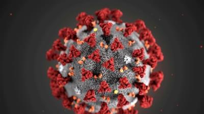 The ultrastructural morphology exhibited by the 2019 Novel Coronavirus (2019-nCoV), which was identified as the cause of an outbreak of respiratory illness first detected in Wuhan, China