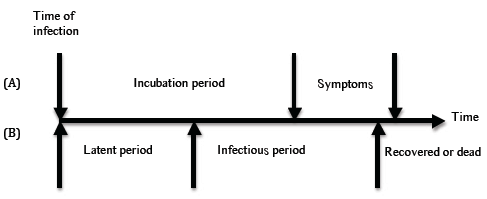 The sequence of events during a simple, directly transmitted disease. The dynamics of the disease are shown in A and the dynamics of infectiousness in B. The victims may cease to be infectious before the end of the symptomatic period.