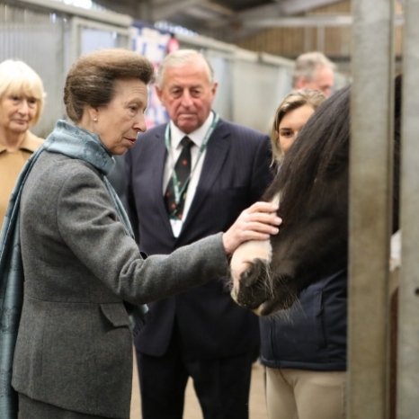The Princess Royal, President of World Horse Welfare, today meets staff and horses at Penny Farm Rescue and Rehoming Centre before opening their newly renovated visitor centre 🐴 
@horsecharity work in the UK and internationally to improve the lives of horses through education, campaigning and hands-on care. 
Her Royal Highness is passionate in this area and, in 2013, rehomed horse ‘Annie’ from a World Horse Welfare centre.