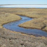 A stream winding through polygonal ground on the Arctic Coastal Plain