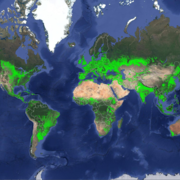 Map of Worldwide Croplands