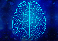 Image of brain for The BRAIN Initiative 