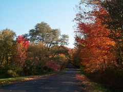 Fall 2001 on Rt. 13 in NYS
