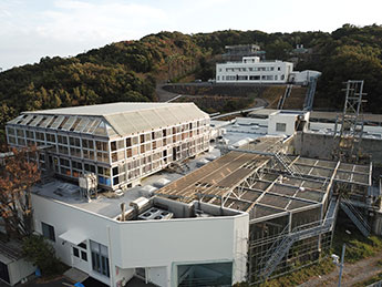 Kumamoto Sanctuary