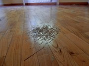 Preventing Scratches and Scuffs to Your New Floors