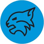 The Lynx Beat Logo