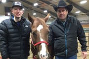 Anderson: Horses inspire a special bond between father and son
