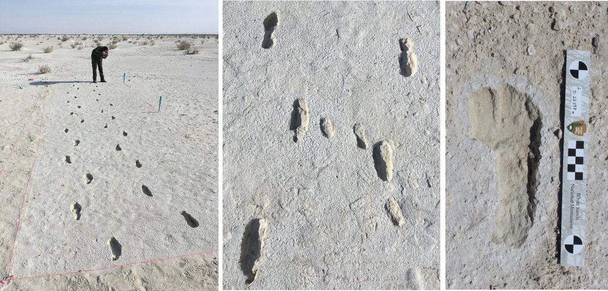 Fossilized footprints from a distance and close up at White Sands National Park.