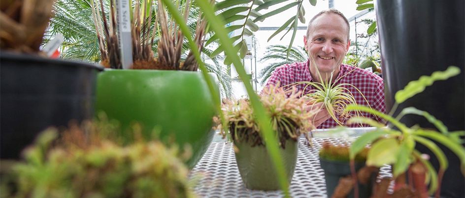 Biologist Peter Constabel in the research greenhouse surrounded by plants