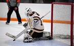 Forest Lake goalie Ally Goehner made a save in the Rangers' 1-0 victory over Andover on Thursday.
