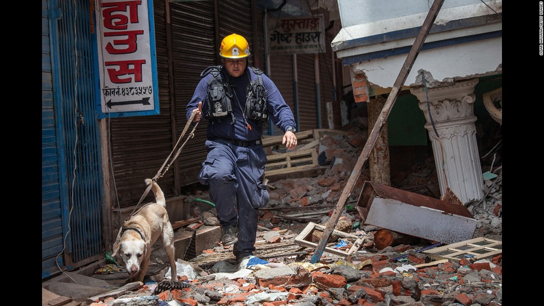 Rescue Worker with Dog in rubble