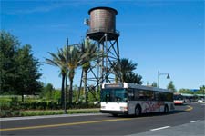 From Disney Springs to the Magic Kingdom, take the Disney Bus system anywhere on property (Photo: Disney Parks Blog)