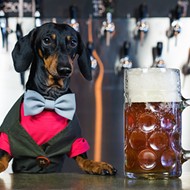Bring your pooch to your favorite bars for Mills 50's Dog Day Afternoon Pup Crawl