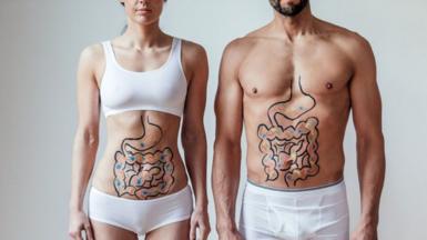 Man and woman with intestines drawn on them