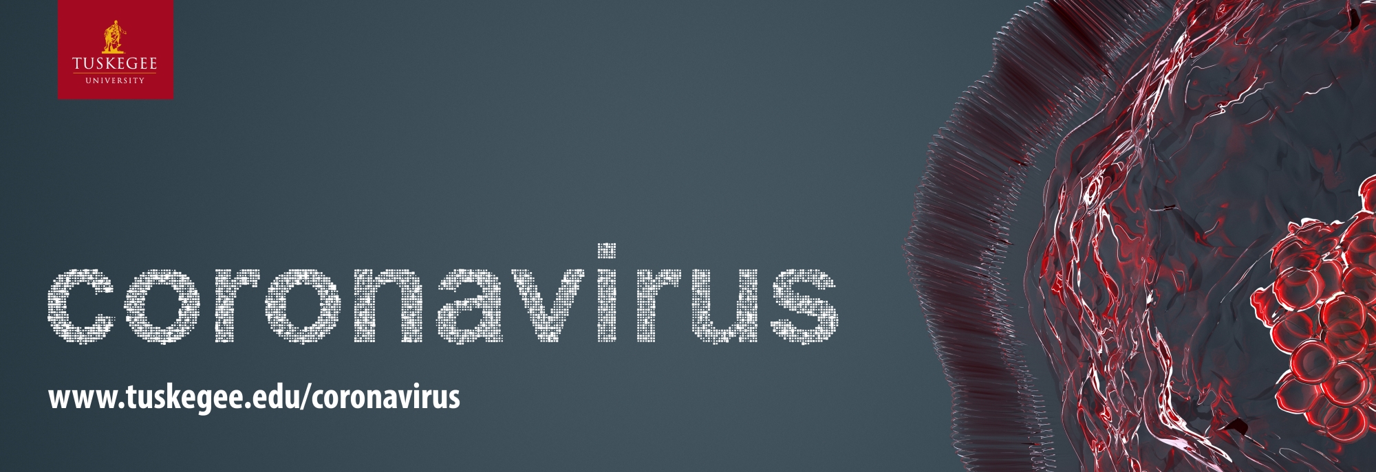 _homepage_coronavirus