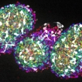 Cluster of neurons derived from induced pluripotent stem cells.