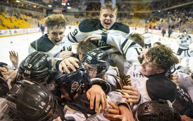 The Andover boy's hockey team celebrated after defeating Elk River 8-1 in the 7AA Section Championship on Thursday night.