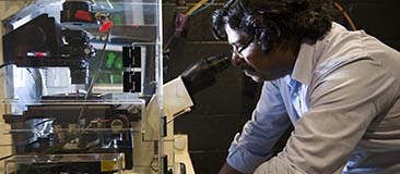 Male researcher looking through a microscope