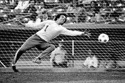 Goalkeeper Geoff Barnett during a game for the Kicks in 1978.