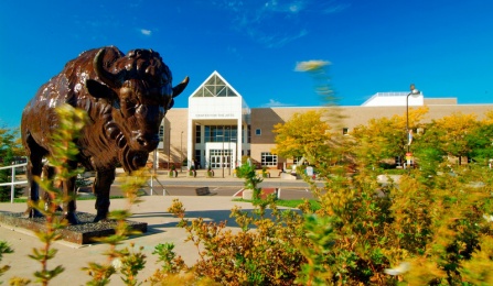 A bronze buffalo stands before the Center for the Arts on UB North campus. 
