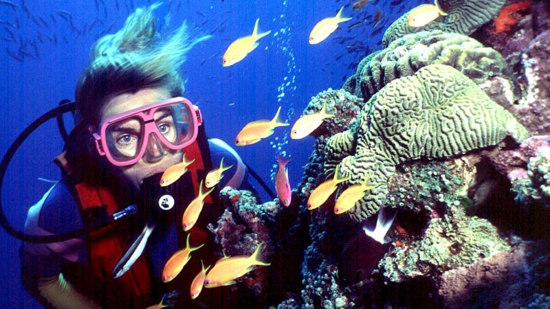 In this undated file photo, a diver swims on Australia's Great Barrier Reef. (AP Photo/Brain Cassey, File)