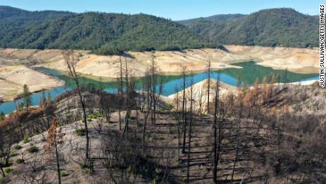 In an aerial view, trees burned by a recent wildfire line the steep banks of Lake Oroville on June 01, 2021 in Oroville, California. As severe drought takes hold in California, firefighters are on high alert with risk of wildfire increasing. According to the U.S. Drought Monitor, 16 percent of California is in exceptional drought, the most severe level of dryness. Lake Oroville is currently at 38 percent of capacity. 