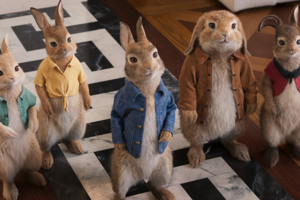‘Peter Rabbit 2’ director Will Gluck makes the most of his Surface devices