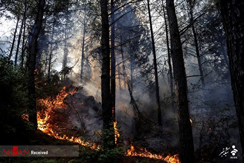 آتش در جنگل‌های ترکیه