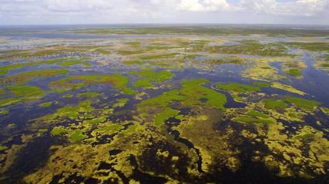 Sugar growers sue Army Corps over water level in reservoir for Everglades restoration