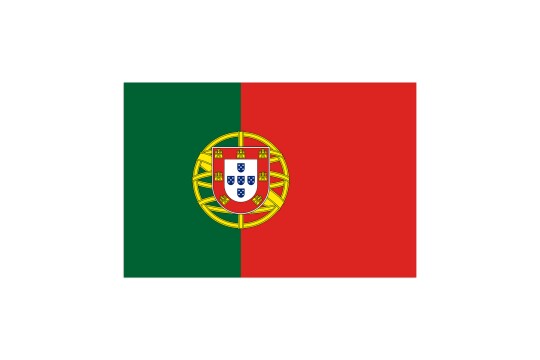 Country flag for Portugal on white background