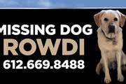 Rowdi, gone 8 months on the North Shore, is seen now only on a billboard outside Grand Marais.