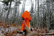 A review of Minnesota firearms hunting mishaps speaks to one thing: They can happen in any moment.