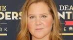 Amy Schumer, Amy Schumer cosmetic surgery, Amy Schumer news, Amy Schumer face fillers, derma fillers, Amy Schumer skin, Amy Schumer dermatologist, what are face fillers, indian express news