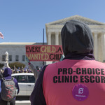 a person wearing a pink pro-choice clinic escort vest stands with their back to the camera as they look at a rally happening across the street in front of the Supreme Court