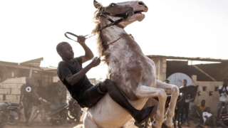A jockey on a bucking horse in Ouagadougou, Burkina Faso - Monday 1 February 2022