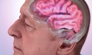 Computer created of a brain in the head of an older man