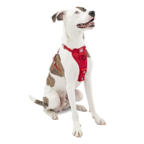 Kurgo Dog Harness | Car Harness for Dogs | Medium | RedPet Safety Seat Belt | Certified Crash Tested Harness | Car Seatbelt | Tru-Fit Enhanced Strength Style