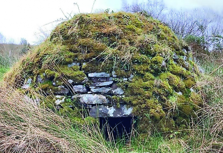 Какво се крие зад стените на голите сауни в Ирландия?