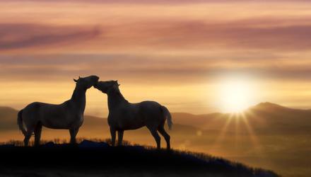 Love was in the air in the hills of Donegal. Stock image