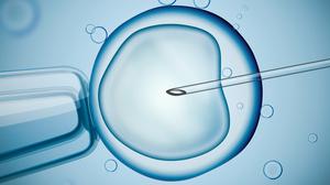 The Budget provided supports in relation to access to IVF treatment. Photo: Stock