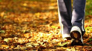 Taking a half-an-hour walk at a forest, park or beach for five consecutive days is recommended by the researchers. Photo: Stock