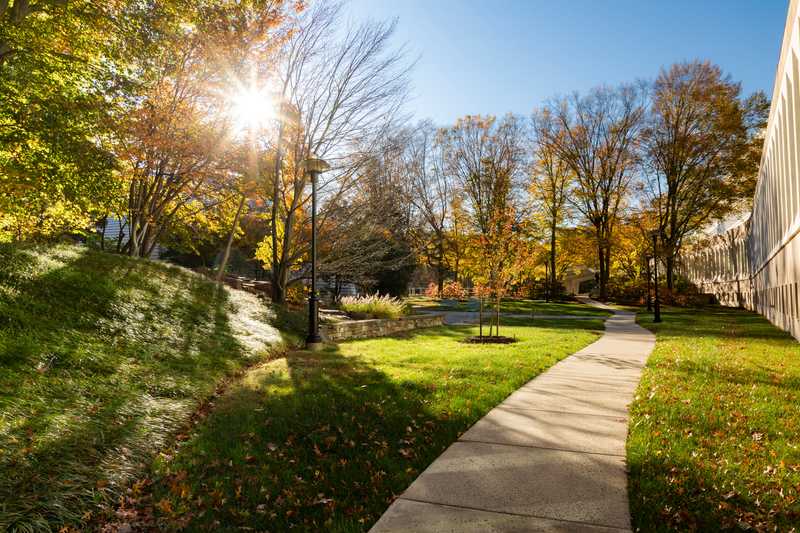 A sunny path outside CIA headquarters in fall.
