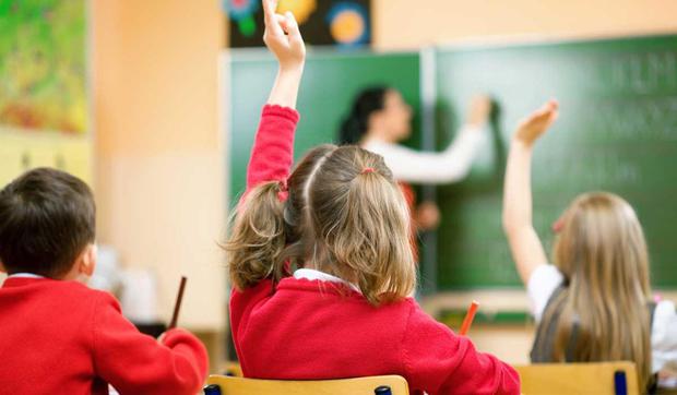 Public consultation on the provision of special education opens today