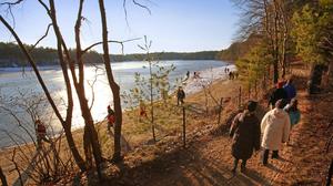 Walden Pond, a short drive from Concord, inspired writer Henry David Thoreau