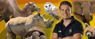 Cam from One Zoo Three is surrounded by lots of animals including a red panda and an elephant